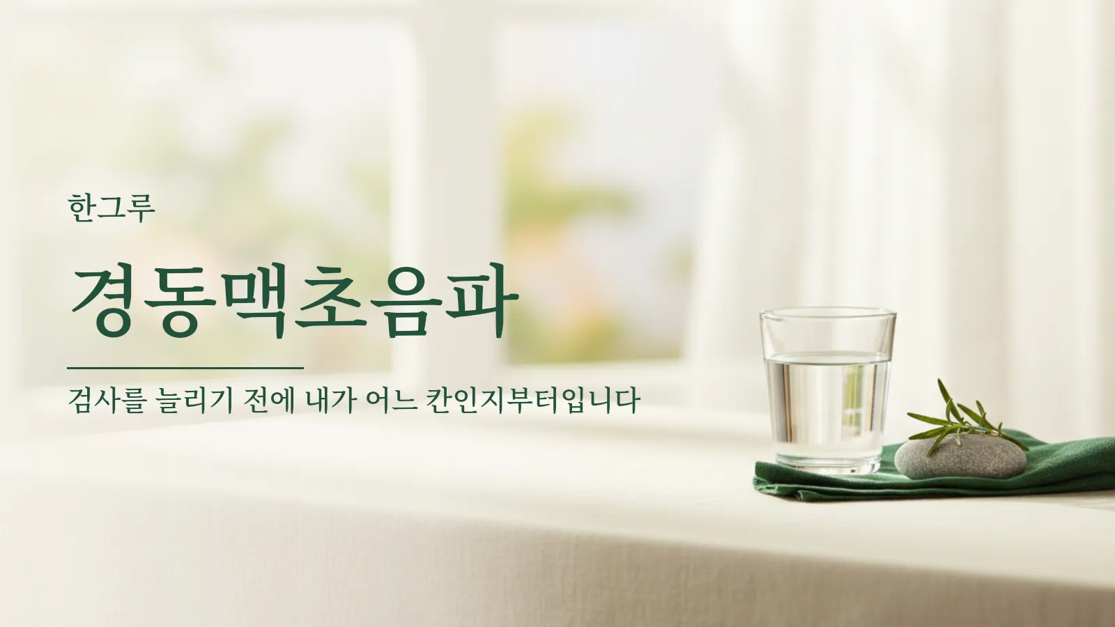 경동맥초음파를 받아야 하는지 판단하는 기준을 설명하는 대표 이미지
