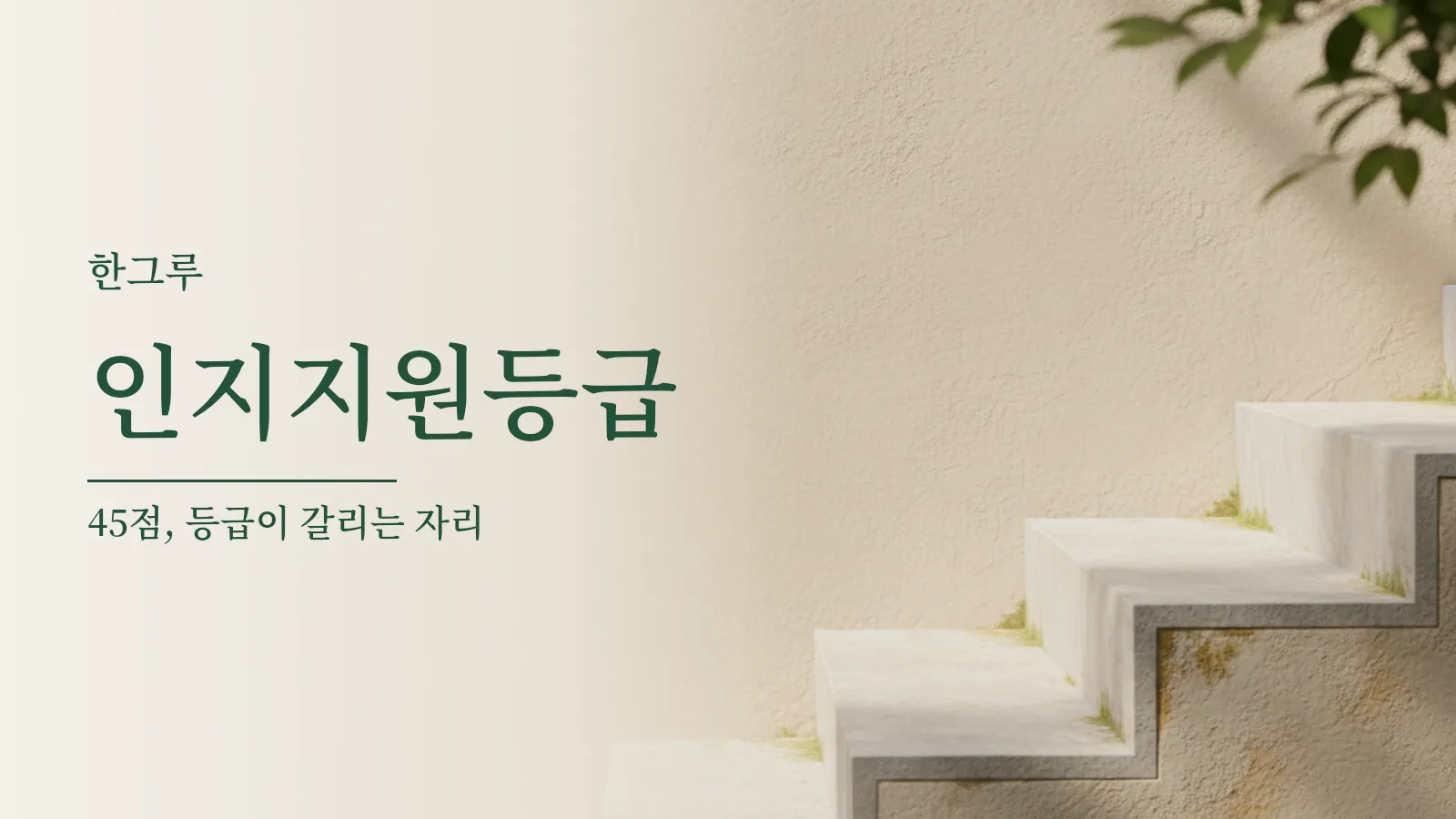 햇살이 드는 뜰에 낮은 돌계단 두 단이 놓여 있는 사진