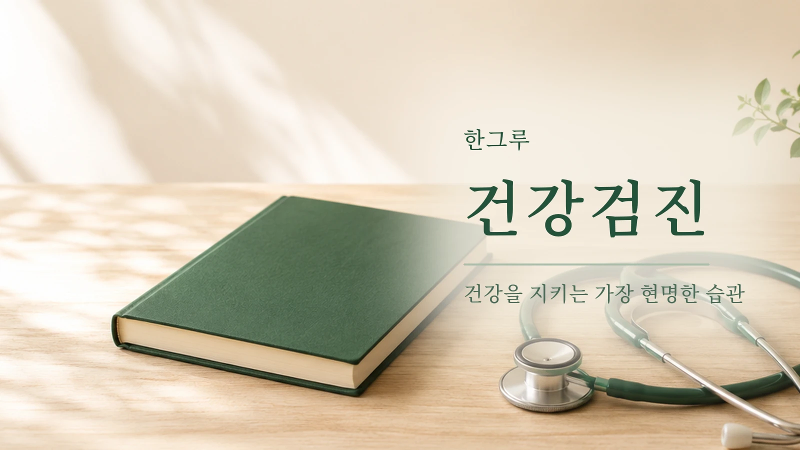 나무 탁자 위 초록 수첩과 청진기, 화분