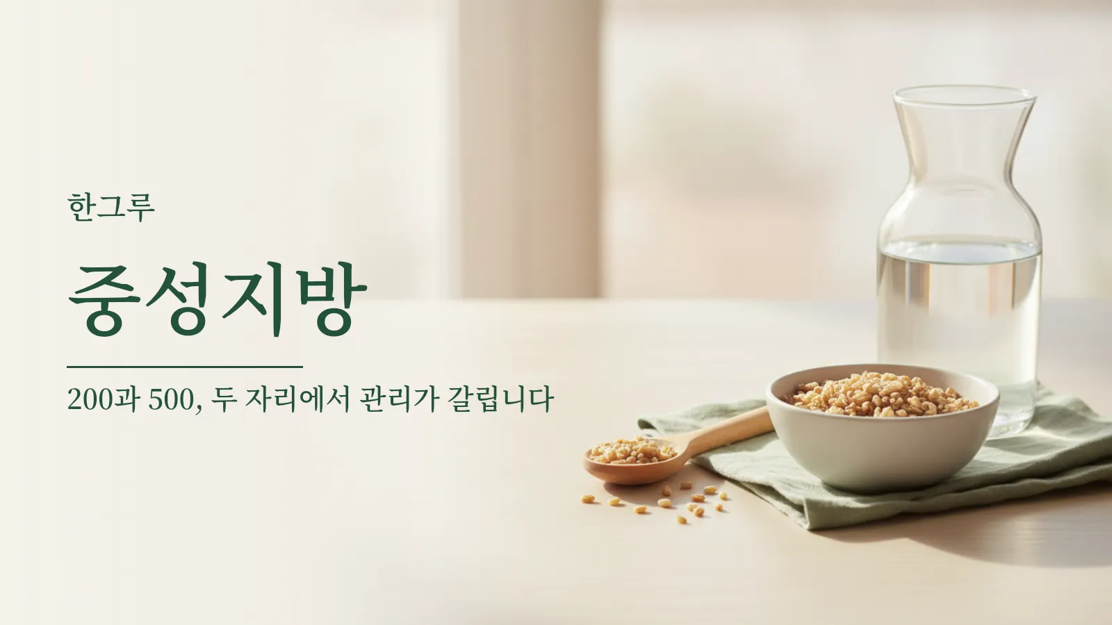 중성지방 수치 구간과 관리 순서를 설명하는 대표 이미지