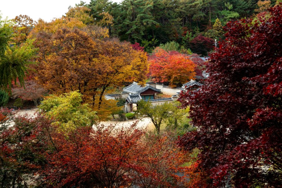 단풍 든 도산서원