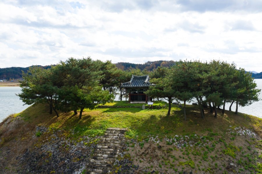 도산서원 앞 강가의 소나무 언덕