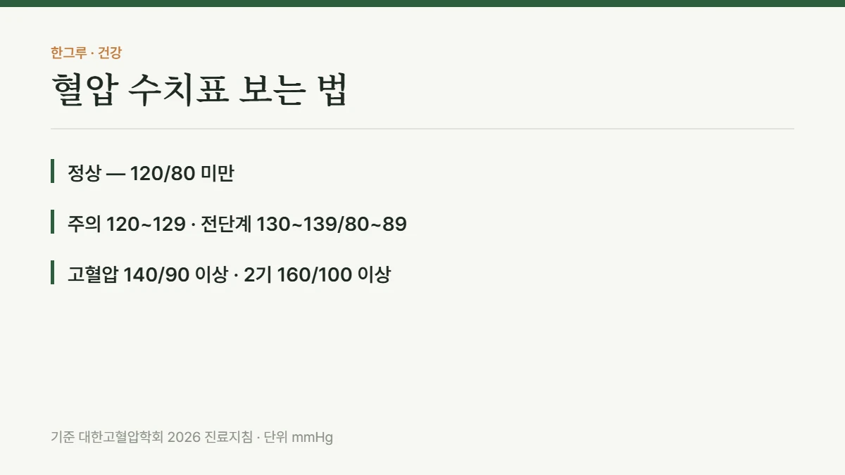 혈압 수치표 보는 법, 내 혈압이 정상인지 고혈압인지 한눈에 — 핵심 요약: 정상 — 120/80 미만, 주의 120~129 · 전단계 130~139/80~89, 고혈압 140/90 이상 · 2기 160/100 이상