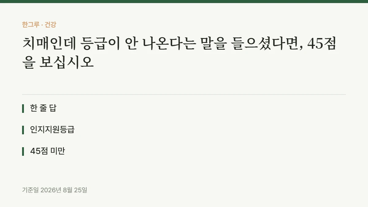 치매인데 등급이 안 나온다는 말을 들으셨다면, 45점을 보십시오 — 핵심 요약