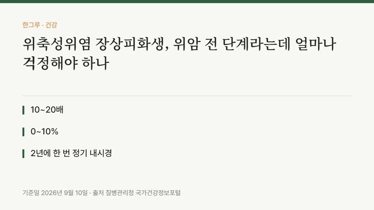 위축성위염 장상피화생, 위암 전 단계라는데 얼마나 걱정해야 하나 — 핵심 요약