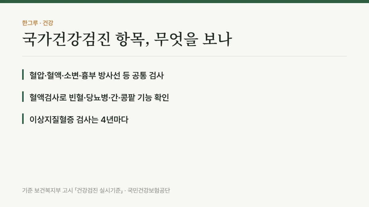 국가건강검진 항목 총정리, 어떤 병을 찾아내려는 검사인가 — 핵심 요약: 혈압·혈액·소변·흉부 방사선 등 공통 검사, 혈액검사로 빈혈·당뇨병·간·콩팥 기능 확인, 이상지질혈증 검사는 4년마다