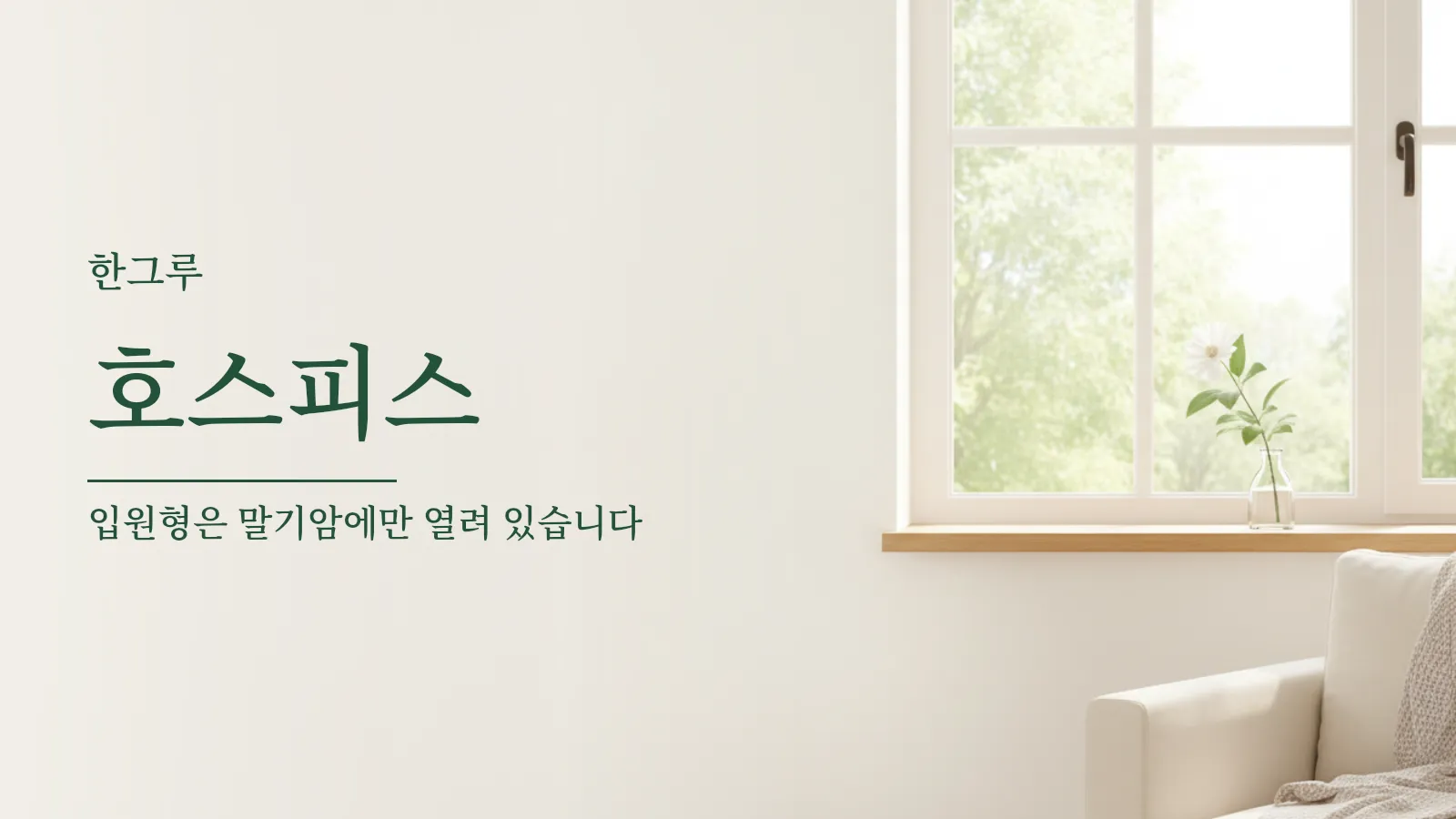 호스피스 대표 이미지 — 창가의 흰 꽃 한 송이