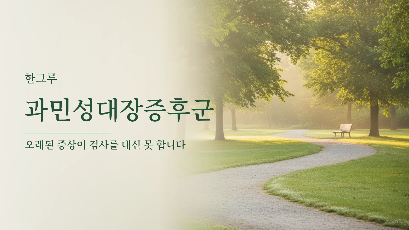 이른 아침 공원 산책로와 멀리 보이는 나무 벤치
