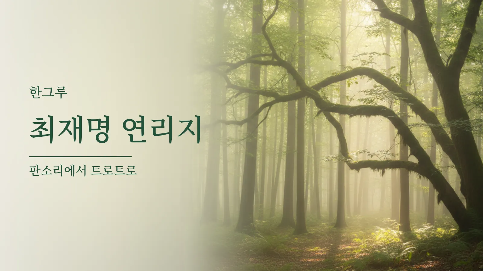 두 그루의 나뭇가지가 맞닿아 이어진 숲속 풍경
