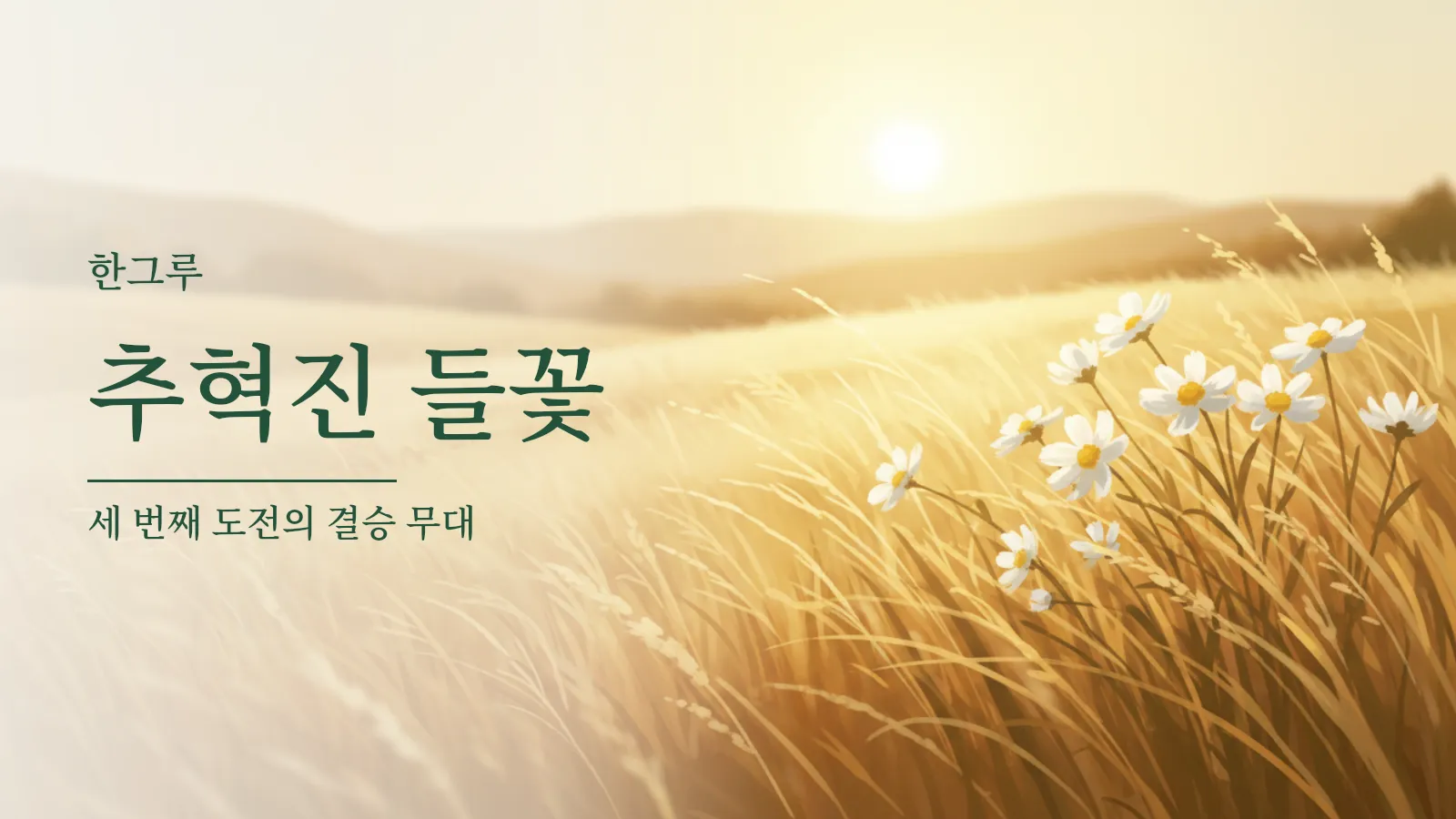 바람에 흔들리는 들판의 흰 들꽃 무리