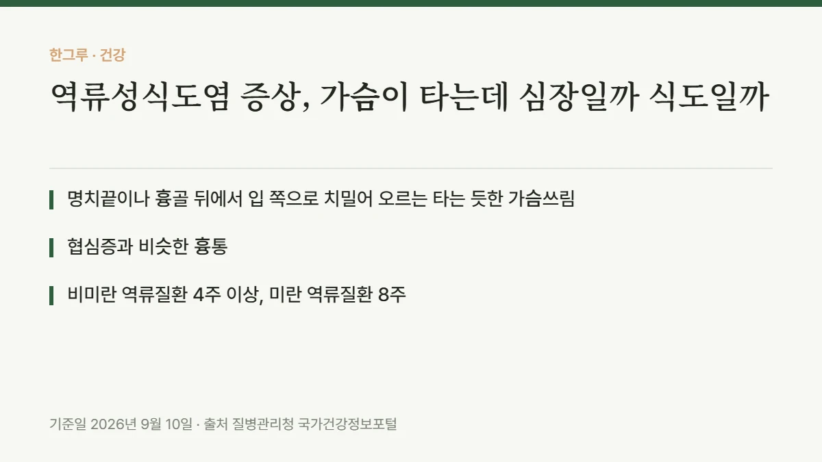 역류성식도염 증상, 가슴이 타는데 심장일까 식도일까 — 핵심 요약