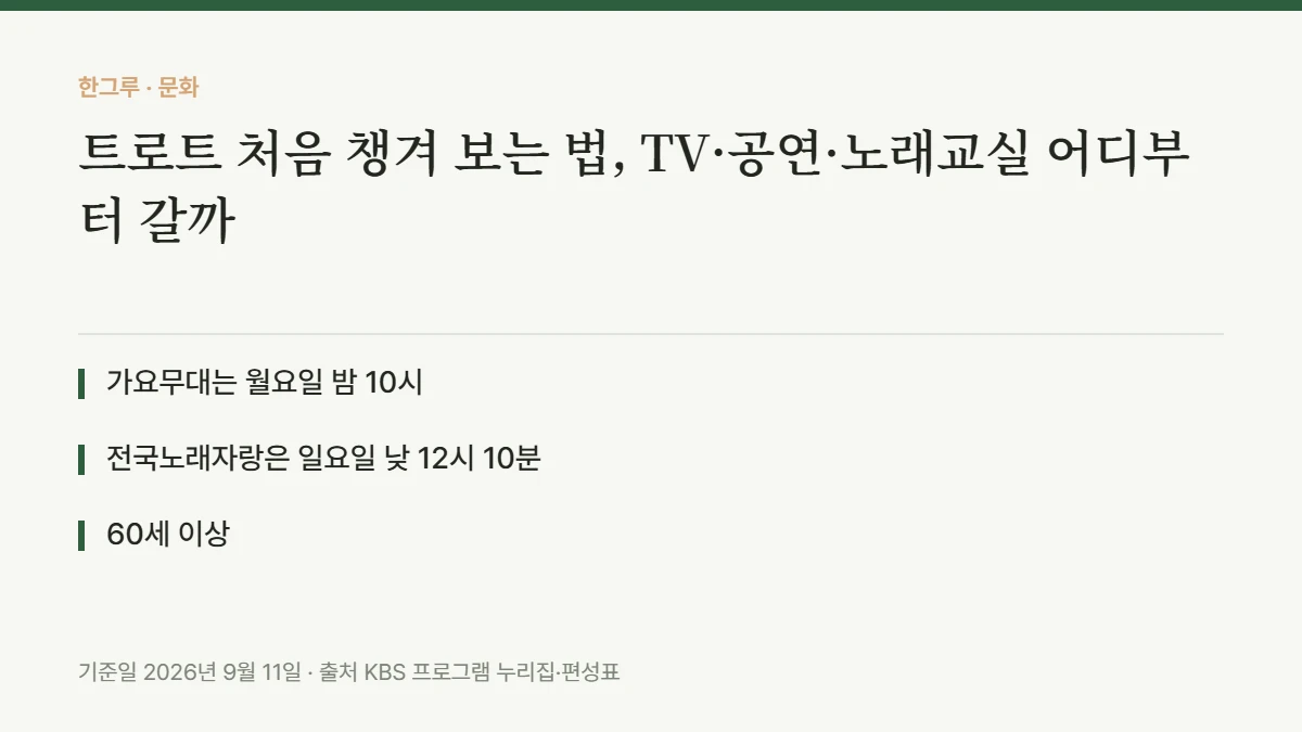 트로트 처음 챙겨 보는 법, TV·공연·노래교실 어디부터 갈까 — 핵심 요약