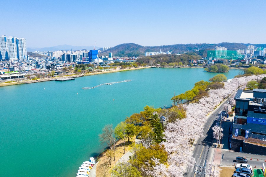대구 수성구 수성못 풍경