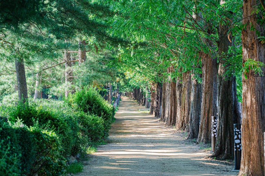 일산호수공원 산책로