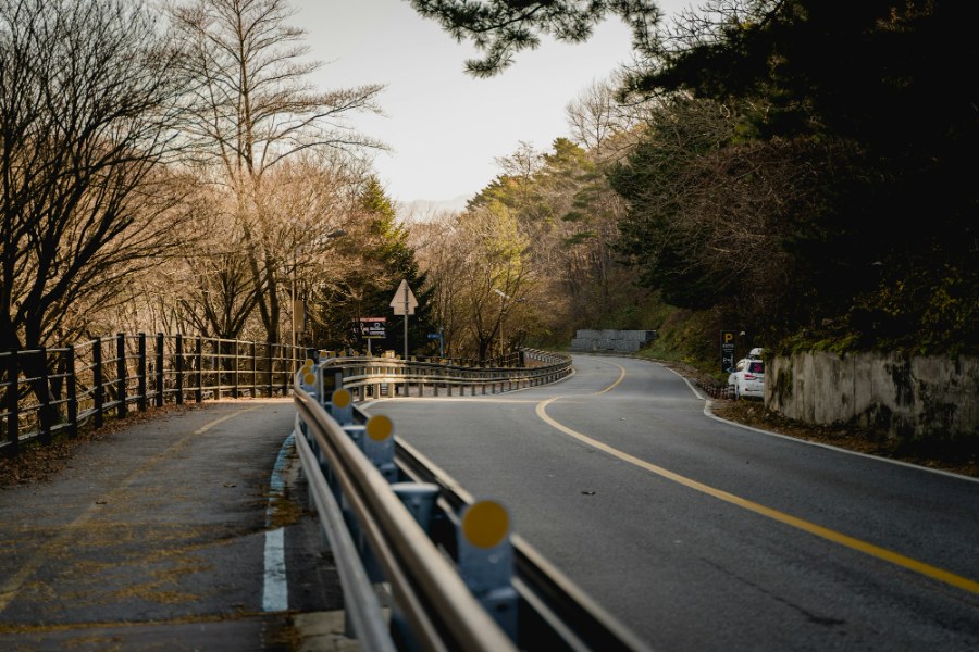 숲 사이로 구불구불 이어지는 길