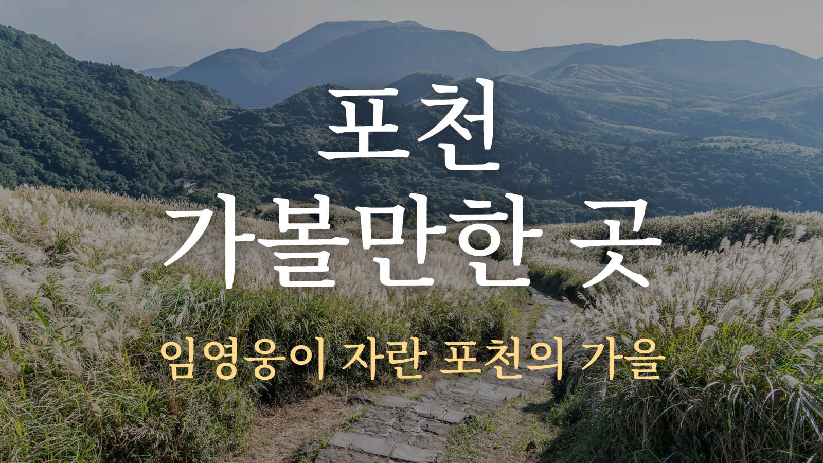 포천 가볼만한 곳 — 임영웅이 자란 포천의 가을